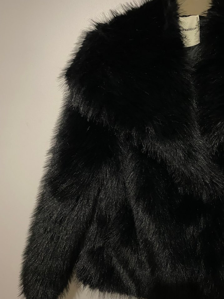 Siyah kürk - Görsel 3