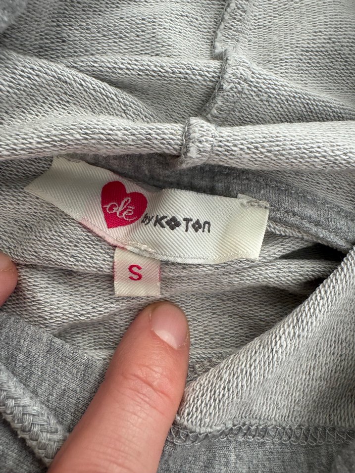 Kapüşonlu, Baskılı, Renkli Kollu Gri Sweatshirt - Görsel 3