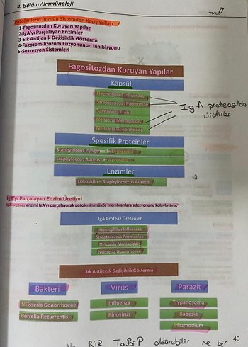 DUSMESLEK Mikrobiyoloji Konu Anlatımı Kitabı - Görsel 2