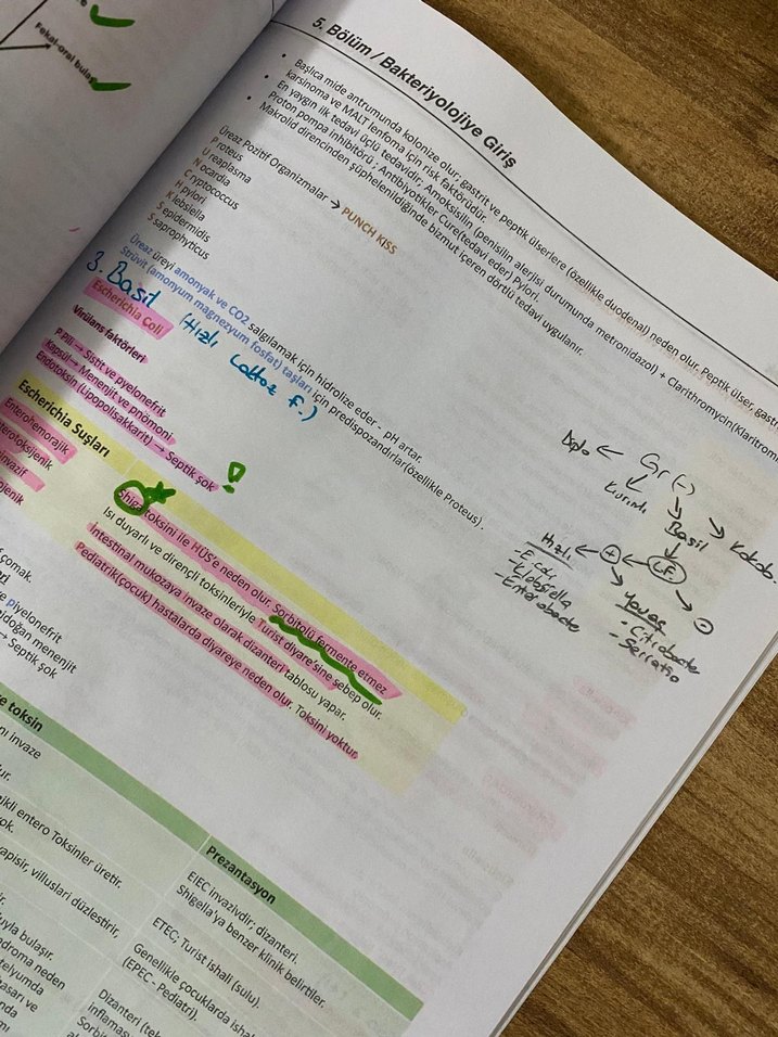 DUSMESLEK Mikrobiyoloji Konu Anlatımı Kitabı - Görsel 4