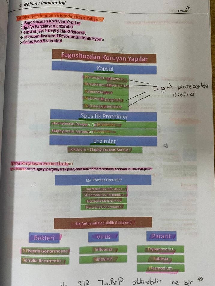DUSMESLEK Mikrobiyoloji Konu Anlatımı Kitabı - Görsel 2