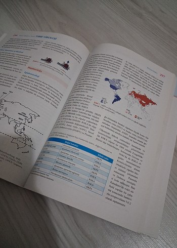 Temel Klinik ve Tanısal Tıbbi Viroloji Kitabı - Görsel 4