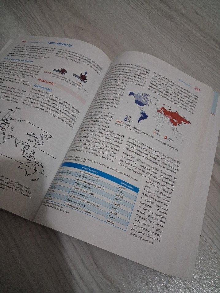 Temel Klinik ve Tanısal Tıbbi Viroloji Kitabı - Görsel 4