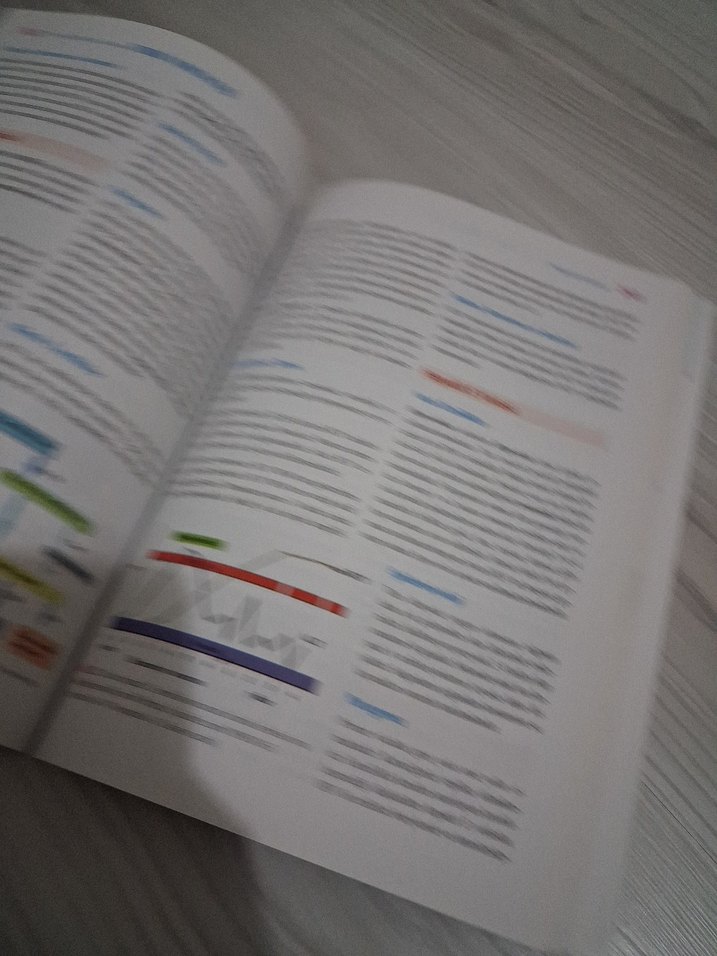 Temel Klinik ve Tanısal Tıbbi Viroloji Kitabı - Görsel 3