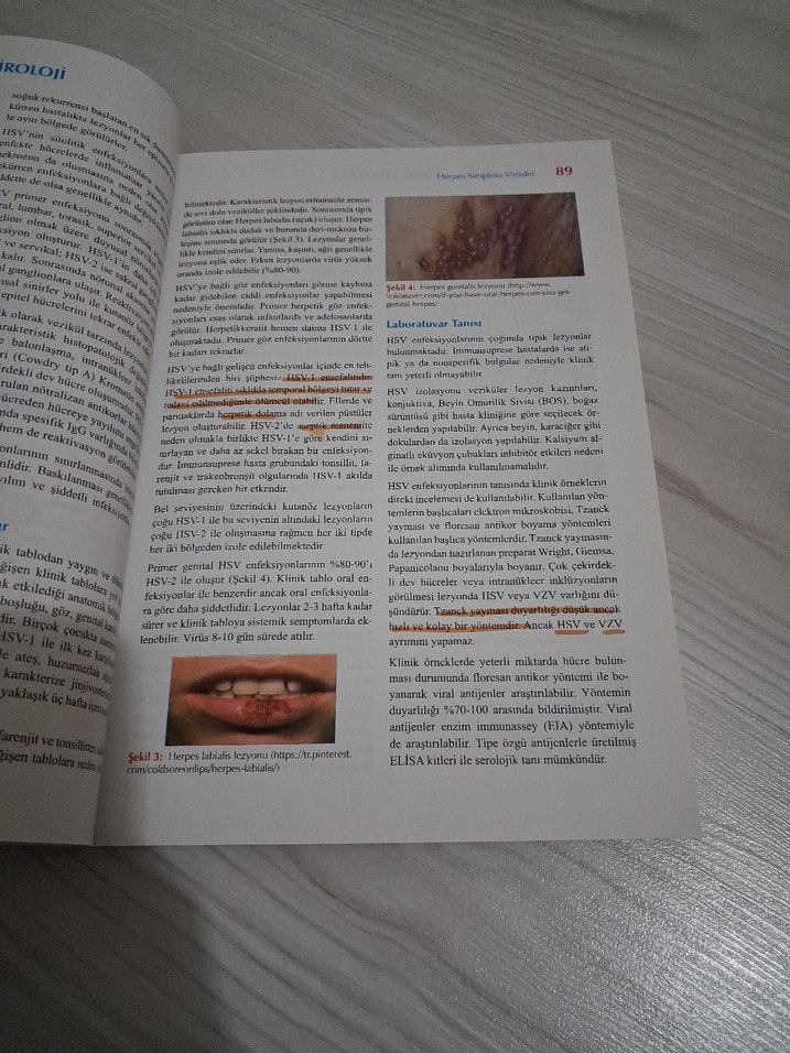 Temel Klinik ve Tanısal Tıbbi Viroloji Kitabı - Görsel 2
