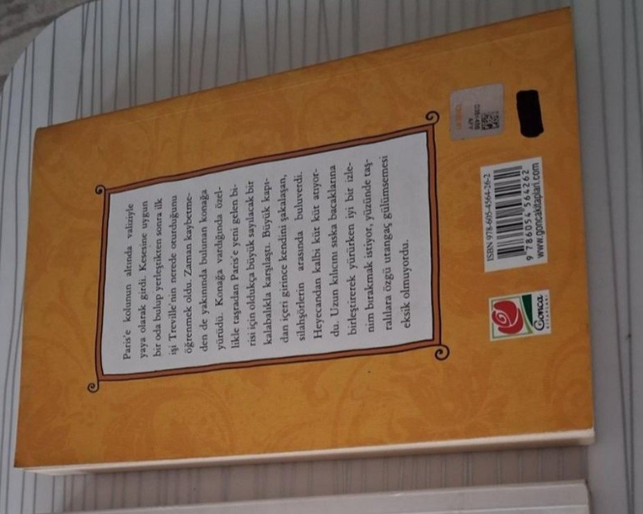 Alexandre Dumas - Üç Silahşörler Biyografi Kitabı - Görsel 2