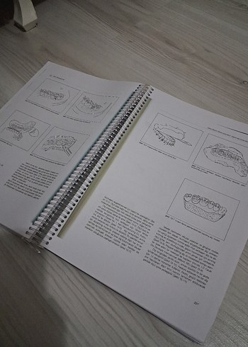 Sabit Protezin Temelleri - 3. Baskı Sağlık Kitabı - Görsel 4