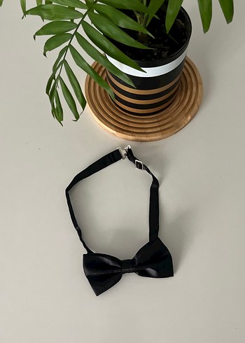 Klasik Siyah Erkek Papyon - Görsel 4