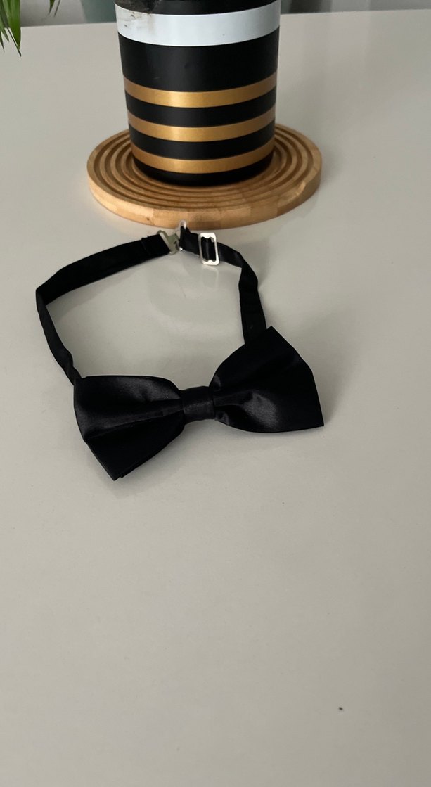 Klasik Siyah Erkek Papyon - Görsel 2