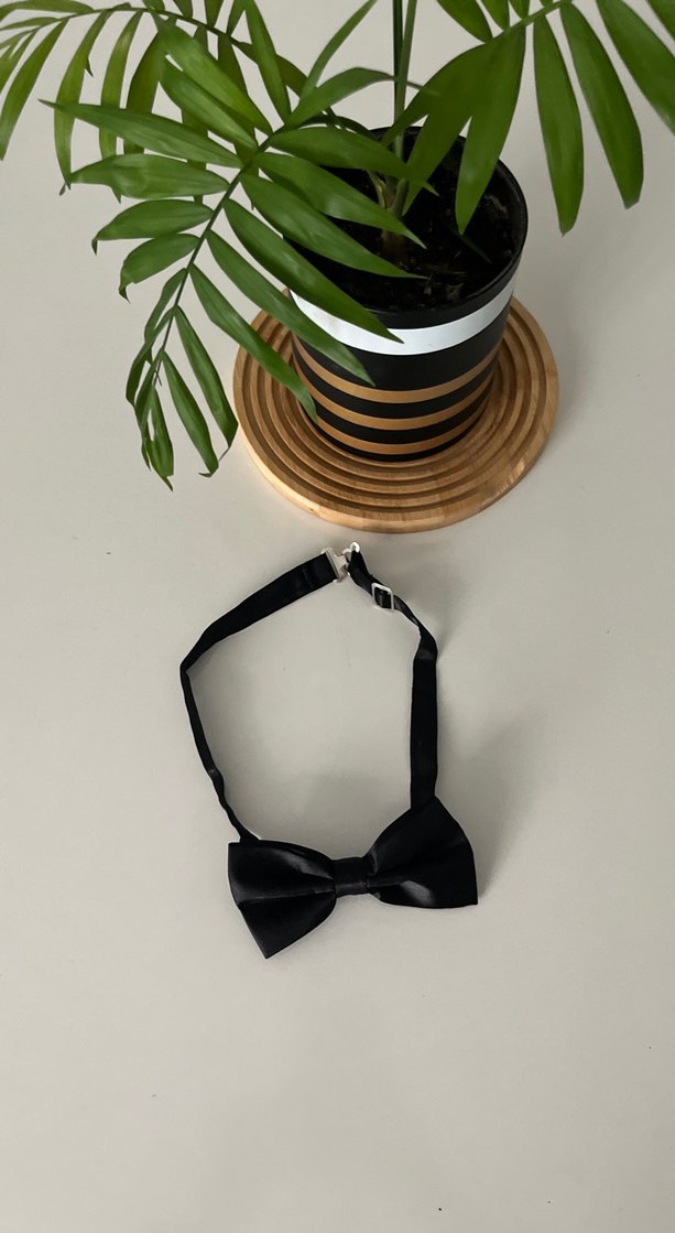 Klasik Siyah Erkek Papyon - Görsel 4