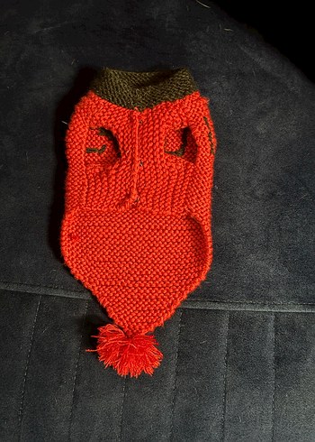 Küçük ırk ve kedi uyumlu - Görsel 2