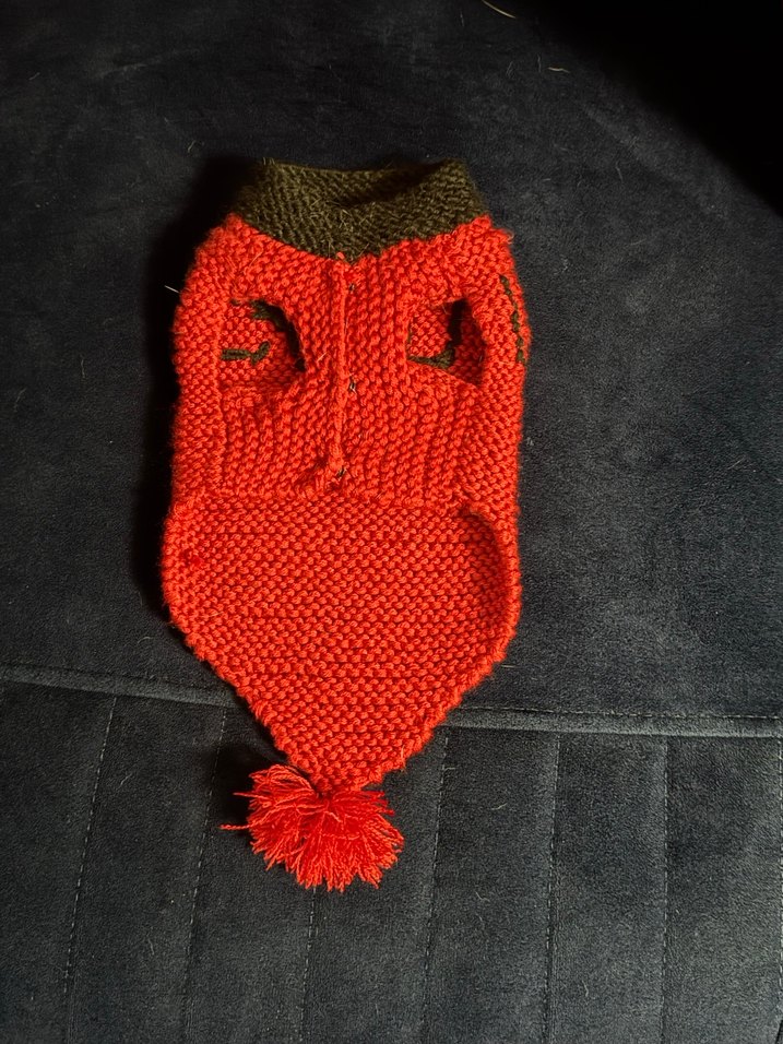 Küçük ırk ve kedi uyumlu - Görsel 2