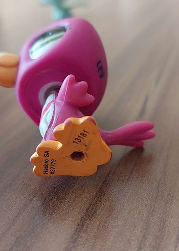 Tukan miniş - Görsel 5