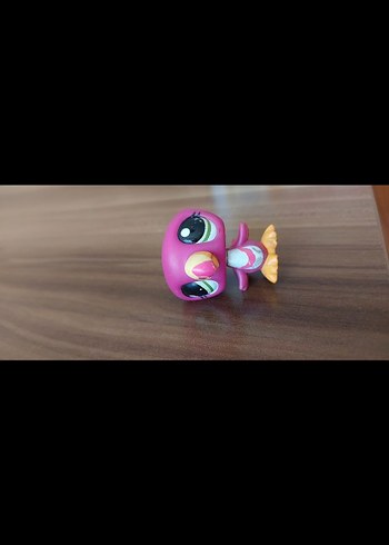 Tukan miniş - Görsel 4