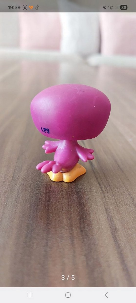 Tukan miniş - Görsel 3