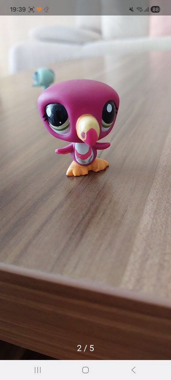 Tukan miniş - Görsel 2