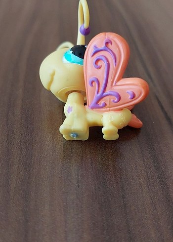 Kelebek Miniş - Görsel 4