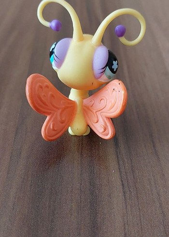 Kelebek Miniş - Görsel 3