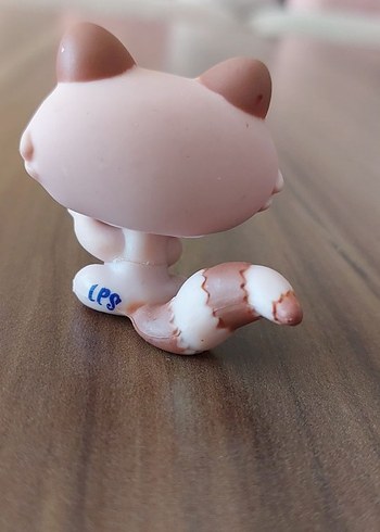 Rakının Miniş - Görsel 4