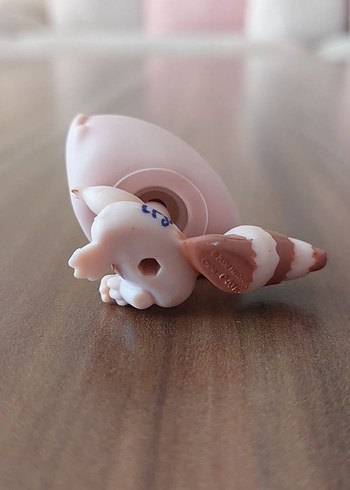 Rakının Miniş - Görsel 5