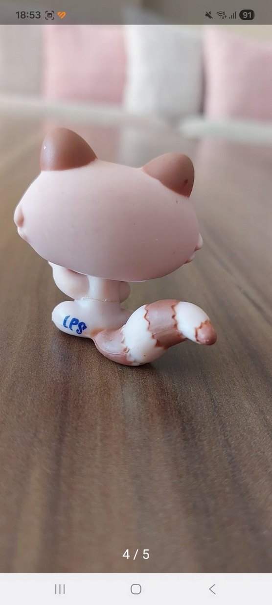 Rakının Miniş - Görsel 4