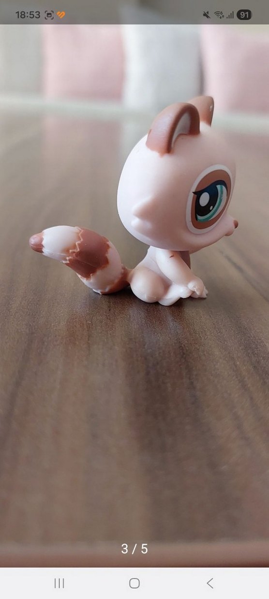 Rakının Miniş - Görsel 3