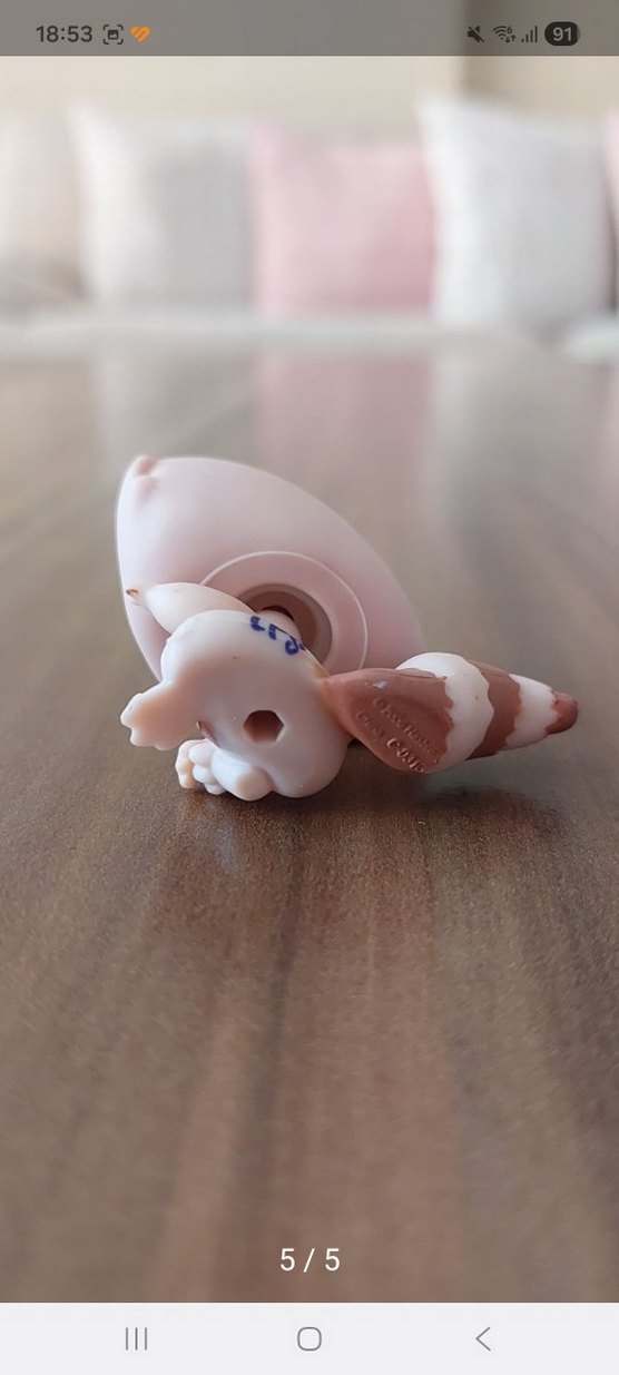 Rakının Miniş - Görsel 5