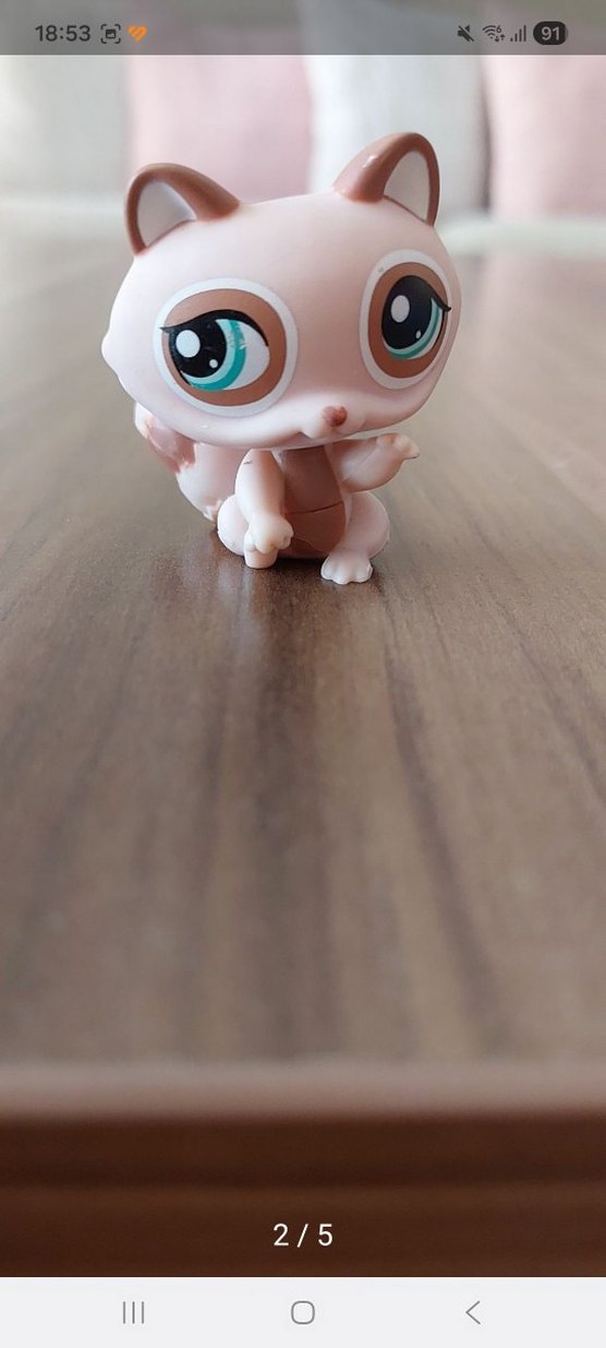 Rakının Miniş - Görsel 2