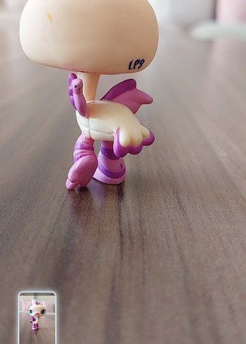 Deve Kuşu Miniş - Görsel 4