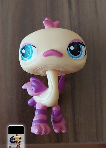 Deve Kuşu Miniş - Görsel 2