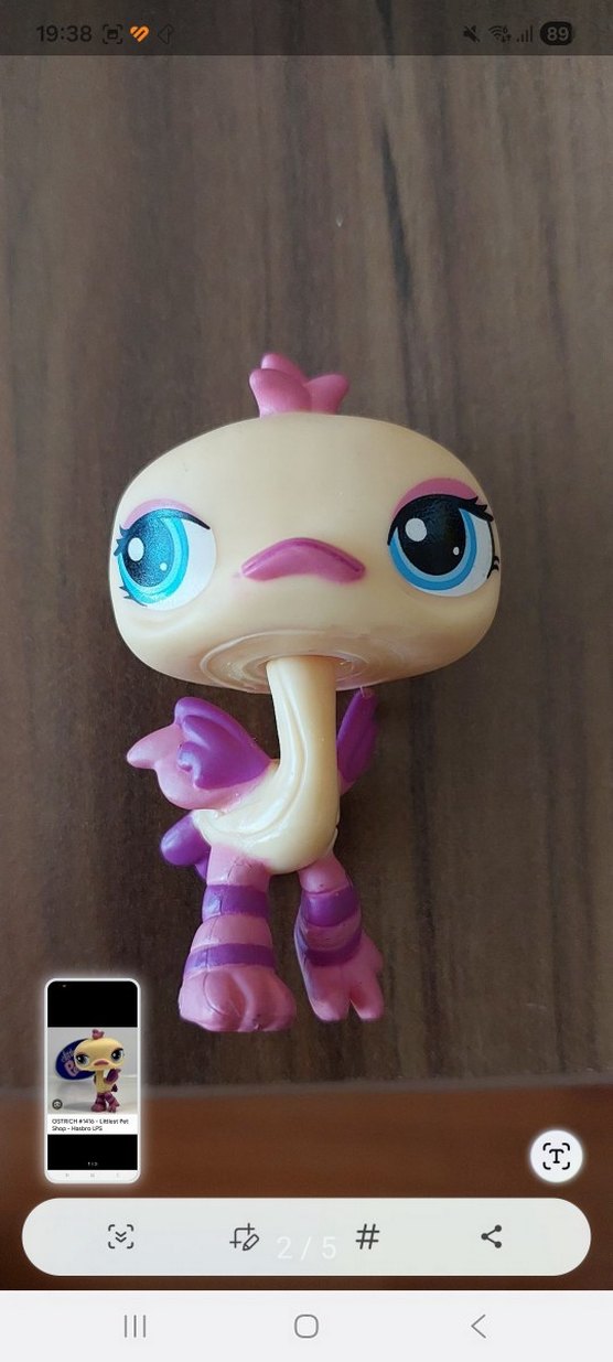 Deve Kuşu Miniş - Görsel 2