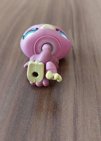 Devekuşu Miniş - Görsel 3