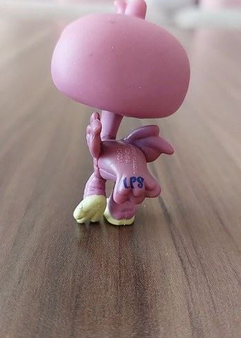 Devekuşu Miniş - Görsel 2