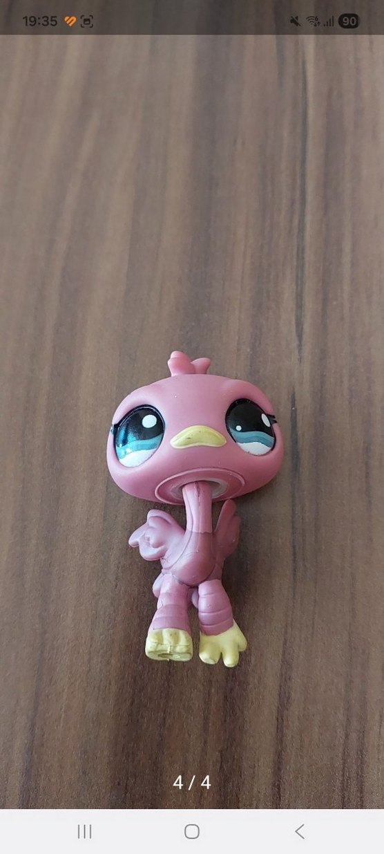 Devekuşu Miniş - Görsel 4