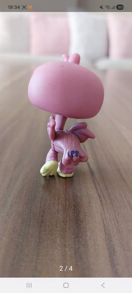 Devekuşu Miniş - Görsel 2