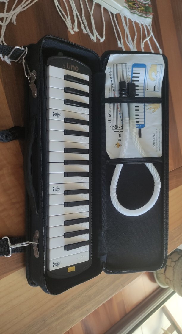 Lino 32K Melodica Taşıma Çantası Siyah - Görsel 3