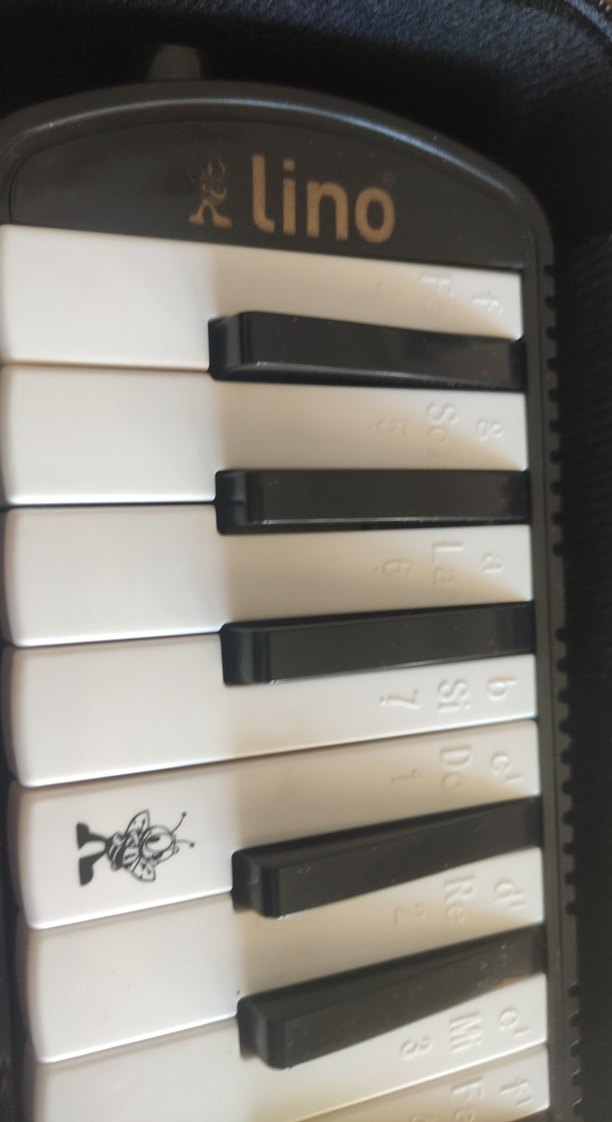 Lino 32K Melodica Taşıma Çantası Siyah - Görsel 4