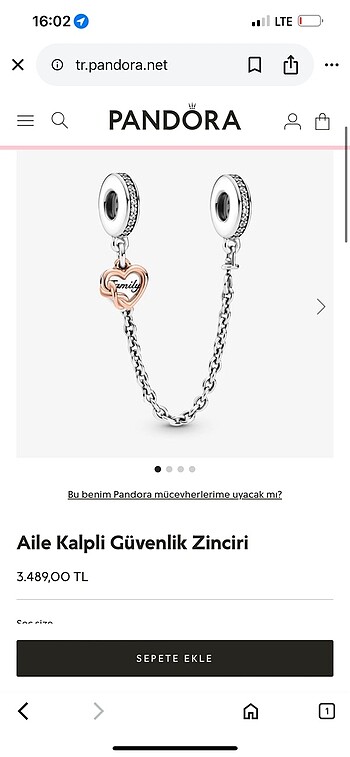 Pandora Pandora charm