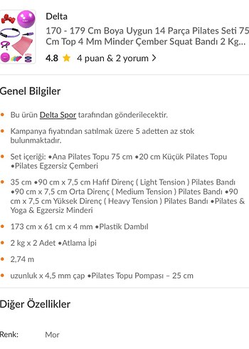 Renkli Pilates Topu ve Egzersiz Seti