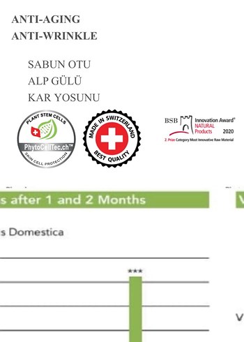 Plant Kök Hücre %14 Capixyl İçerikli Saç Mezoterapisi - Görsel 2