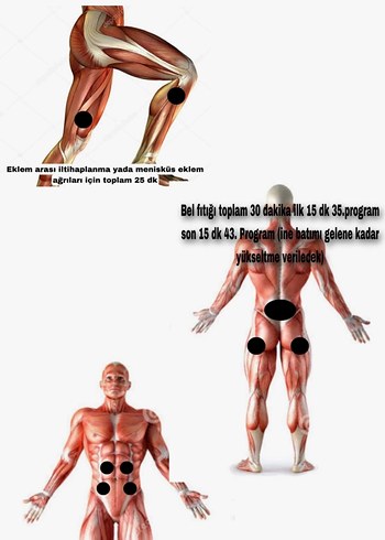 Rosio Fizik tedavi ve masaj Aleti 32000tl yerine - Görsel 6