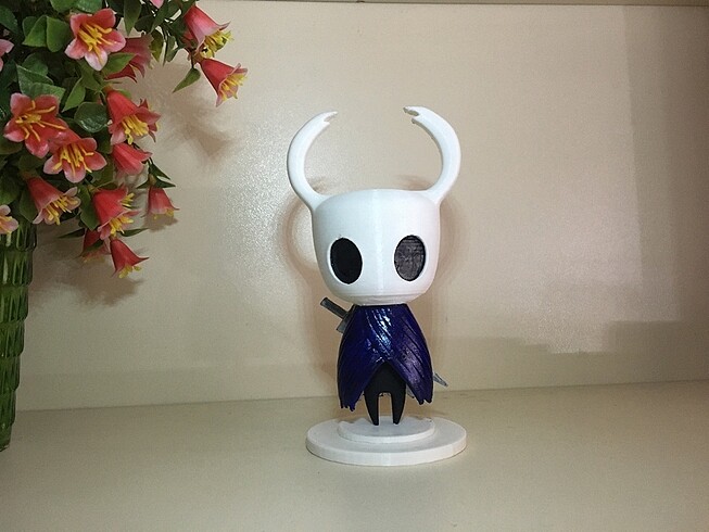 Hollow knight