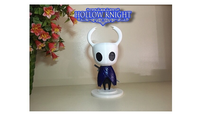Hollow knight