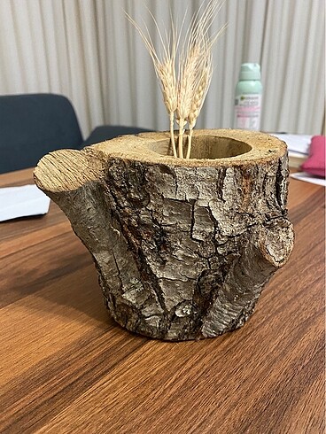 Kütük Odun Saksı