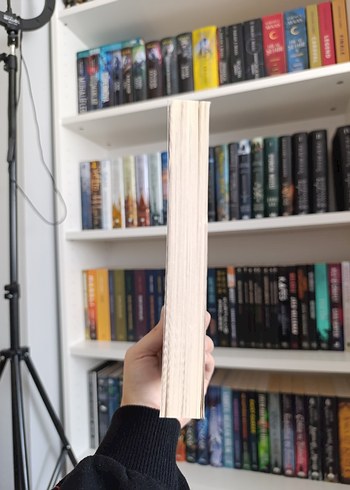 Layla - Colleen Hoover