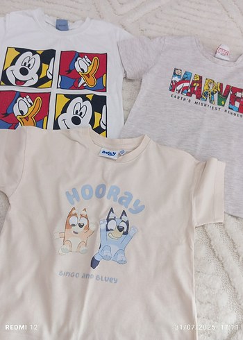Walt Disney World Gri Baskılı Erkek Çocuk Kısa Kollu Tişört