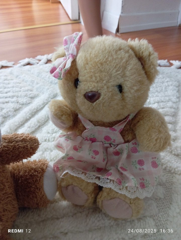 Pastel Kahverengi Peluş Ayı Oyuncakları - Görsel 3