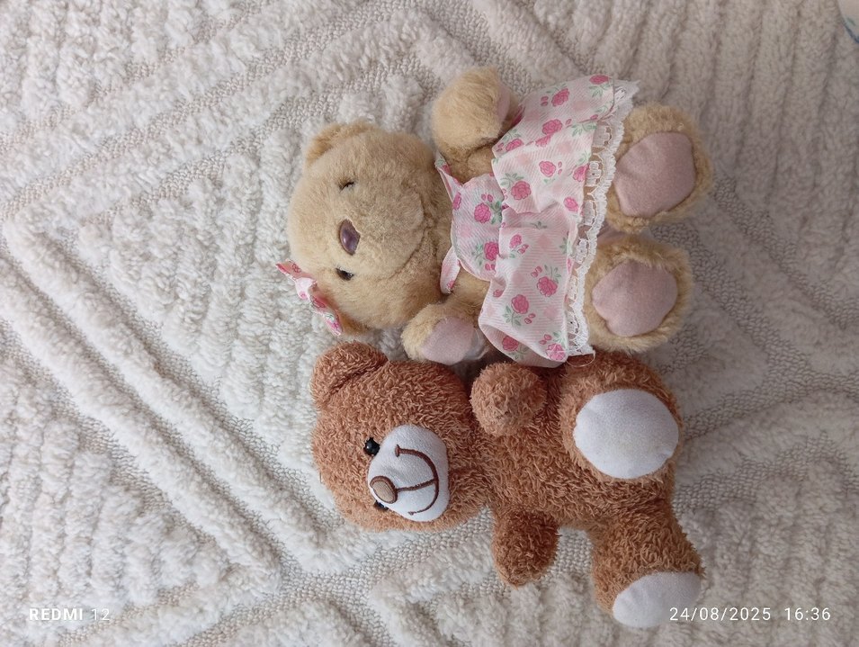 Pastel Kahverengi Peluş Ayı Oyuncakları - Görsel 2