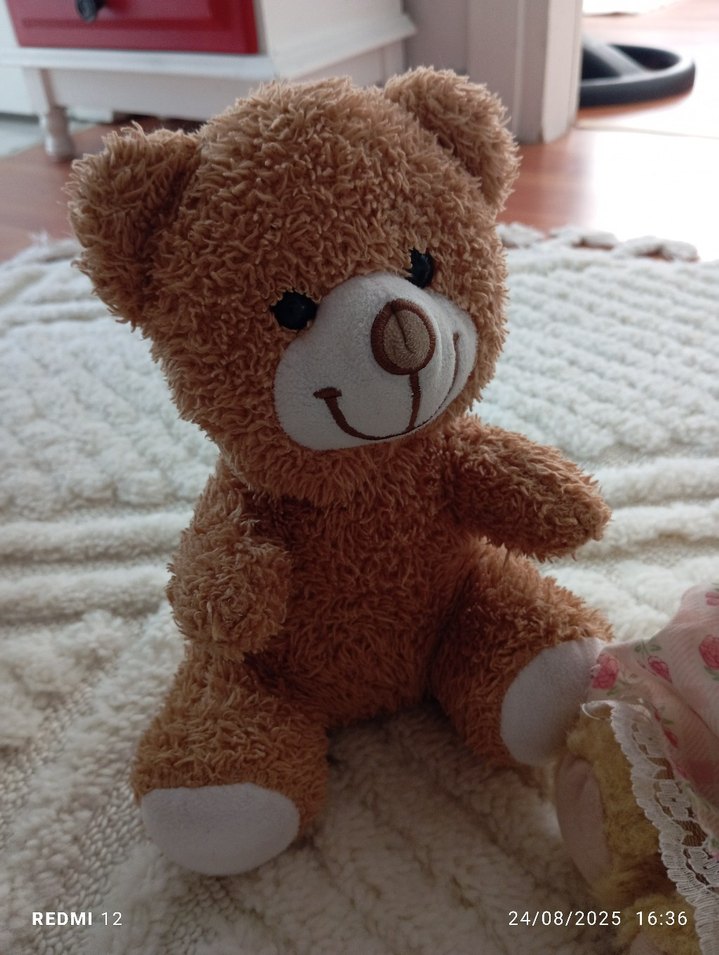 Pastel Kahverengi Peluş Ayı Oyuncakları - Görsel 4