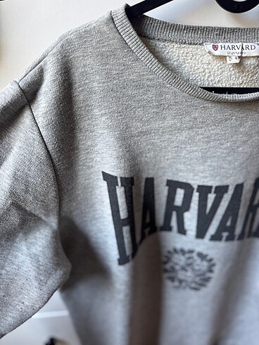 Diğer Gri Sweat